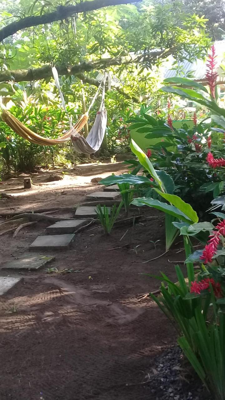 Casa Chilamates Tortuguero Eksteriør bilde