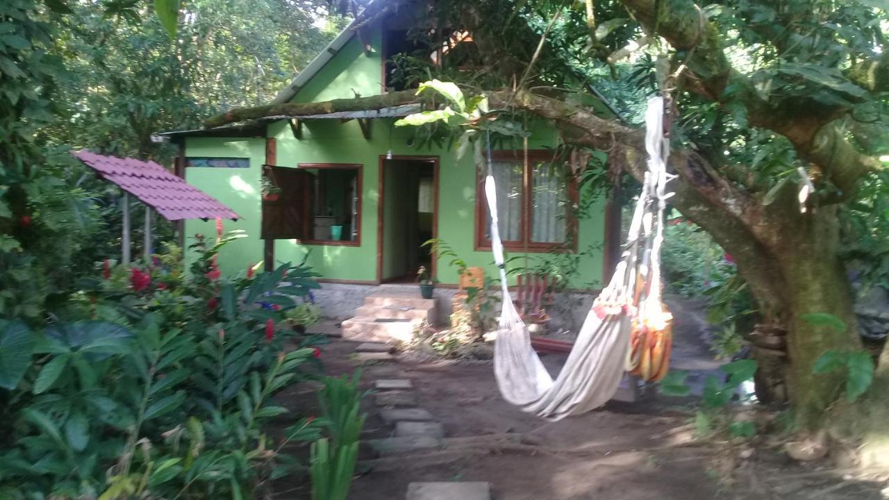 Casa Chilamates Tortuguero Eksteriør bilde