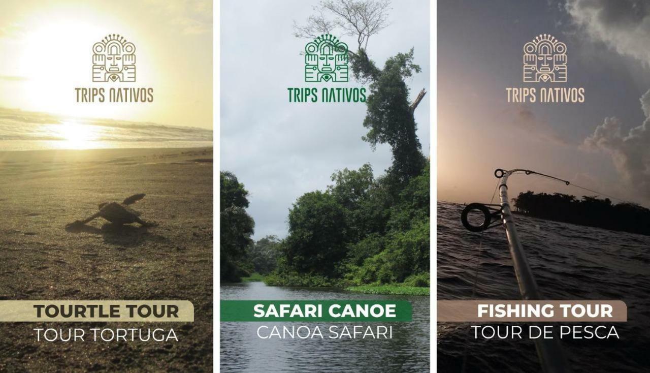Casa Chilamates Tortuguero Eksteriør bilde